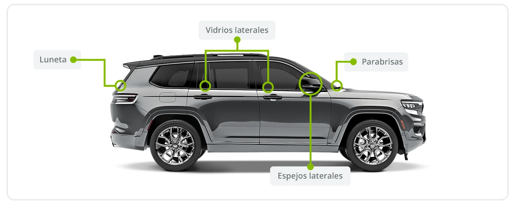 Imagen grabado de patente